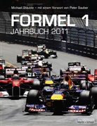 Michael Stäuble - Formel 1
