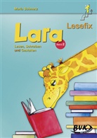 Maria Schmetz - Lara Lesefix - Lesen, Schreiben und Gestalten. Bd.2