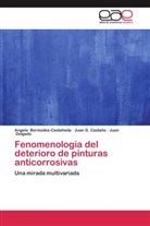 Angela Bermúdez-Castañeda, Juan G Castaño, Juan G. Castaño, Delgado, Juan Delgado - Fenomenología del deterioro de pinturas anticorrosivas