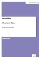 Bastian Rückel - Mehrgüterflüsse