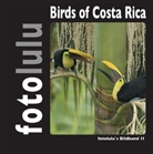 Fotolulu, foto lulu - Birds of Costa Rica