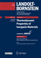 Peter Franke, Markus, T. Markus, Torsten Markus, H. J. Seifert, A Watson... - Landolt-Börnstein, Numerical Data and Functional Relationships in Science and Technology - 19c2: Thermodynamic Properties of Inorganic Materials Compiled by SGTE
