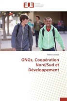 Patrice Lovesse, Lovesse-p - Ongs, cooperation nord sud et