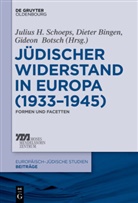 Diete Bingen, Dieter Bingen, Gideon Botsch, Julius H Schoeps, Julius H. Schoeps - Jüdischer Widerstand in Europa (1933-1945)