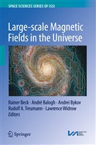 Andr Balogh, Andre Balogh, Rainer Beck, D. V. Bykov, Rudolf A. Treumann, D V Bykov et al... - Large-scale Magnetic Fields in the Universe