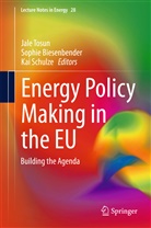Sophi Biesenbender, Sophie Biesenbender, To Replace, Sophie Schmitt, Kai Schulze, Jale Tosun - Energy Policy Making in the EU