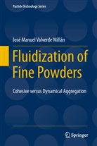 José Manuel Valverde Millán - Fluidization of Fine Powders
