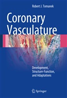 Robert J Tomanek, Robert J. Tomanek - Coronary Vasculature