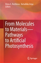 Elen A Rozhkova, Elena A Rozhkova, Ariga, Ariga, Katsuhiko Ariga, Elena Rozhkova... - From Molecules to Materials