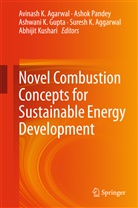 Avinash K Agarwal, Avinash K. Agarwal, Suresh K. Aggarwal, Ashwani Gupta, Ashwani K. Gupta, Ashwani K Gupta et al... - Novel Combustion Concepts for Sustainable Energy Development