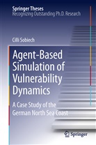 Cilli Sobiech - Agent-Based Simulation of Vulnerability Dynamics