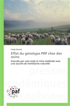 Cindy Gervais, Gervais-c - Effet du genotype prp chez des ovin