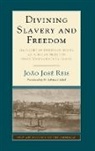 H Sabrina Gledhill, Joao Jose Reis, João José Reis, Joao Jose (Universidade Federal Da Bahia Reis - Divining Slavery and Freedom