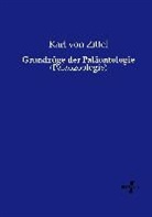 Karl von Zittel - Grundzüge der Paläontologie