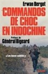 Erwan Bergot, Bergot-e - Commandos de choc en Indochine : les biens oubliés