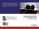 Guillermo Jose Garcia Sanchez - Analyzing International Adjudicative Bodies Under Regime Theory