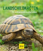 Christine Steimer, Hartmut Wilke, Hartmut (Dr.) Wilke - Landschildkröten