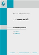 Bernd Berberich, Karl E. Hemmer, Karl-Edmun Hemmer, Karl-Edmund Hemmer, Achi Wüst, Achim Wüst - Strafrecht BT. Tl.1