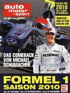 Michael Schmidt - Formel 1 Saison 2010