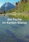 Andreas Zbinden - Die Fische im Kanton Glarus