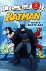 Donald Lemke, Donald B. Lemke, Eric A. Gordon, Steven E. Gordon - Winter Wasteland: Batman Classic