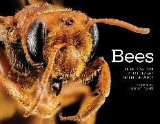 Sam Droege, Sam Packer Droege, Laurence Packer - Bees