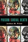 Joshua Price, Joshua M. Price - Prison and Social Death