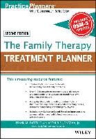 David J Berghuis, David J. Berghuis, David J. (Life Guidance Services Berghuis, Berghuis David J., FM Dattilio, Frank M Dattilio... - Family Therapy Treatment Planner, With Dsm-5 Updates, 2nd Edition