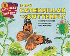Deborah Heiligman, Bari Weissman - From Caterpillar to Butterfly