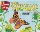 Deborah Heiligman, Deborah/ Weissman Heiligman, Bari Weissman - From Caterpillar to Butterfly