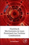 Ali Benim, Ali Cemal Benim, Ali Cemal (Professor of Energy Technology Benim, Ali Cemal/ Syed Benim, Benim Ali Cemal, Khawar Jamil Syed... - Flashback Mechanisms in Lean Premixed Gas Turbine Combustion