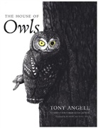 Tony Angell, Tony Angell - House of Owls