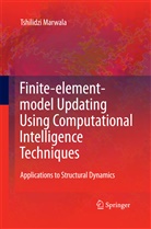 Tshilidzi Marwala - Finite Element Model Updating Using Computational Intelligence Techniques
