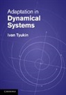 Ivan Tyukin, Ivan (University of Leicester) Tyukin, Tyukin Ivan - Adaptation in Dynamical Systems