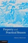Adam J. Macleod, MacLeod Adam J. - Property and Practical Reason
