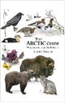 Sharon Chester, Sharon R. Chester, Sharon R Chestre - Arctic Guide