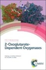 Robert Schofield Hausinger, Christopher (University of Oxford Schofield, Christopher Hausinger Schofield, Christopher J (University of Oxford Schofield, Prof. Christopher J (University of Oxfo Schofield, Robert Hausinger... - 2-Oxoglutarate-Dependent Oxygenases