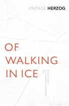 Werner Herzog, Herzog Werner - Of Walking in Ice