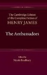 Henry James, Nicola Bradbury, Nicola (University of Reading) Bradbury - Ambassadors