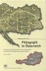 Wolfgang Brezinka - Pädagogik in Österreich 1. Pädagogik an der Universität Wien