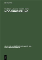 Christia Lahusen, Christian Lahusen, Carsten Stark - Modernisierung