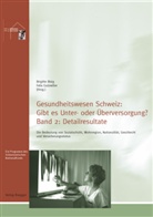 Brigitte Bisig, Felix Gutzwiller - Gesundheitswesen Schweiz: gibt es Unter- oder Übervorsorgung? - Bd.2: Detailresultate. Bd.2