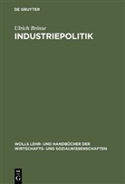 Ulrich Brösse - Industriepolitik