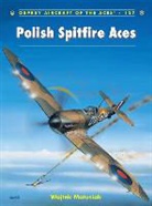 Robert Grudzien, Wojtek Matusiak, Robert Grudzien - Polish Spitfire Aces