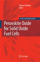 Tatsum Ishihara, Tatsumi Ishihara - Perovskite Oxide for Solid Oxide Fuel Cells