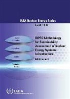 International Atomic Energy Agency - Inpro Methodology for Sustainability Assessment of Nuclear Energy Systems: Infrastructure: A Report of the International Project on Innovative Nuclear
