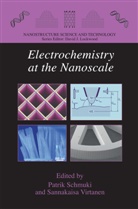 Patri Schmuki, Patrik Schmuki, Virtanen, Virtanen, Sannakaisa Virtanen - Electrochemistry at the Nanoscale