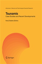 Kenj Satake, Kenji Satake - Tsunamis