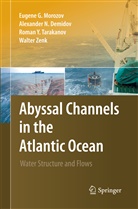 Alexander Demidov, Alexander N Demidov, Alexander N. Demidov, Eugene Morozov, Eugene G Morozov, Eugene G. Morozov... - Abyssal Channels in the Atlantic Ocean