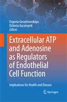 Evgeni Gerasimovskaya, Evgenia Gerasimovskaya, Kaczmarek, Kaczmarek, Elzbieta Kaczmarek - Extracellular ATP and adenosine as regulators of endothelial cell function